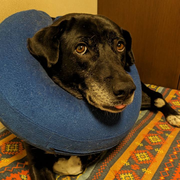 76b72a57 798f 467a 9d92 6c714d2af792 1714783775419