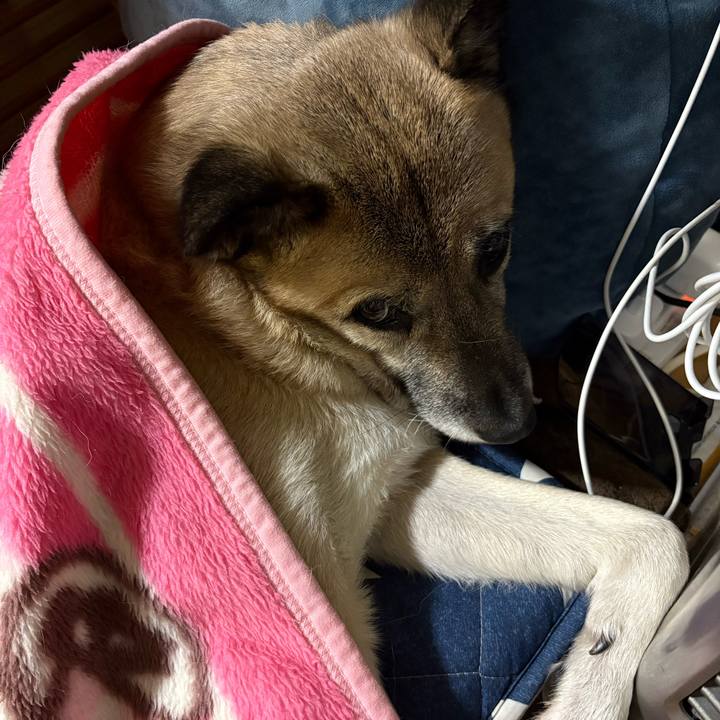 76b73fe7 0ce6 4f77 abb7 3485be01cb13 1735219394199