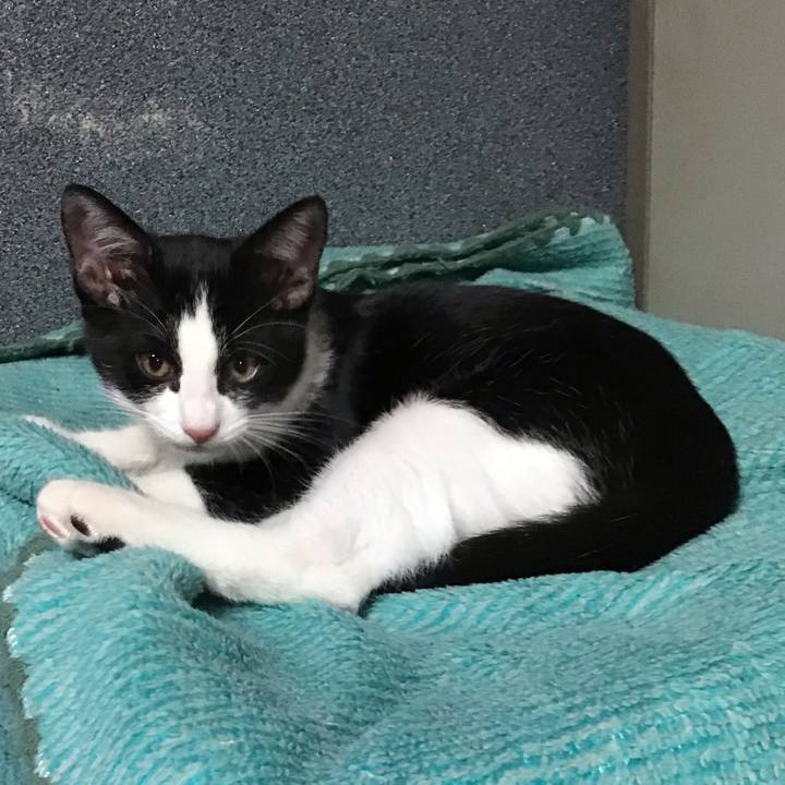 76b74dd5 9147 48f0 bc84 39550a4abcc2 1627206178163