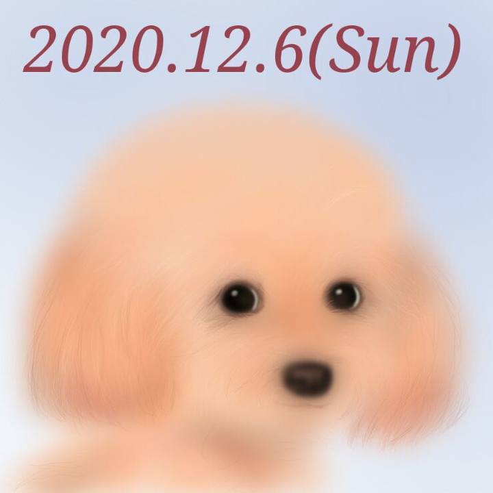 76b756ae 4ce4 4b02 a26b 4bbbb710011d 1607260230337