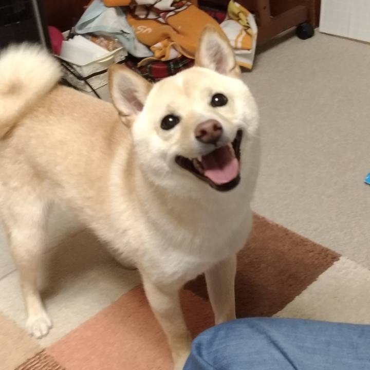 76b76b3b 99c1 47e8 b5cc bf289b962f74 1525951249537