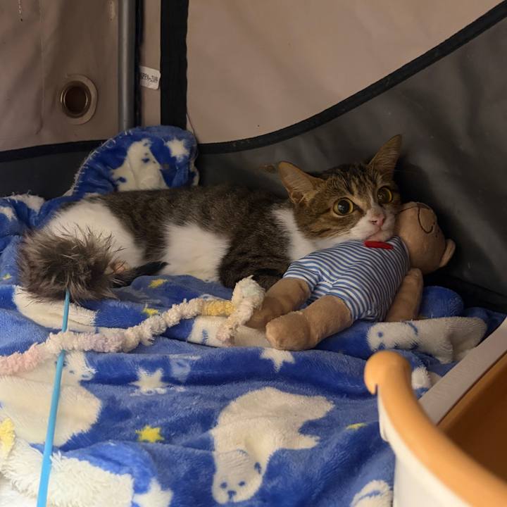 76b76e6e d7d2 4573 a70a 96def5510b20 1764237071625