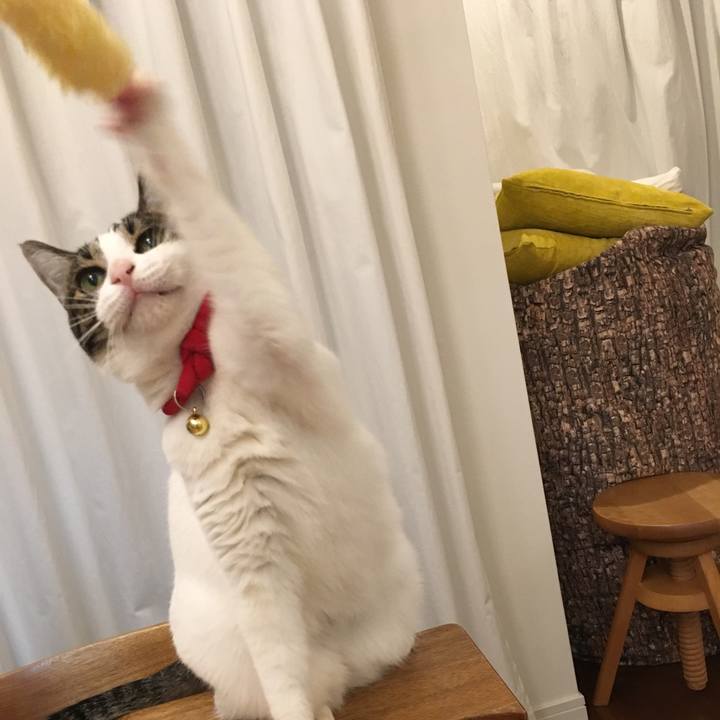 76b7ccc9 aae9 427a a225 a0b708828530 1538566122168