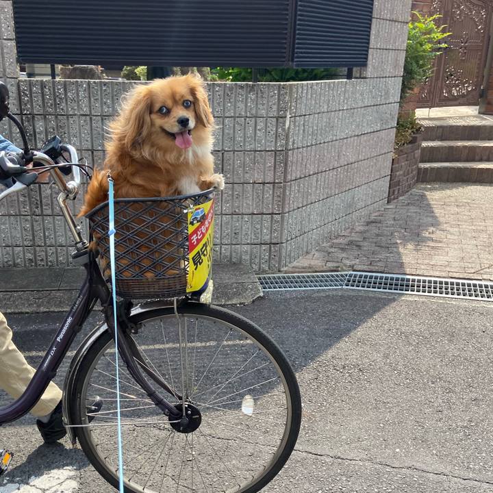 76b7e090 e274 4995 8b10 75ab2df5b9e4 1588550902449