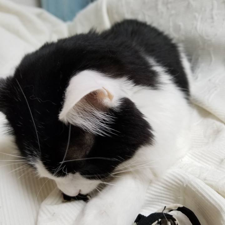 76b7eb2d f187 45ea 8056 3c6890a511d9 1551953578821