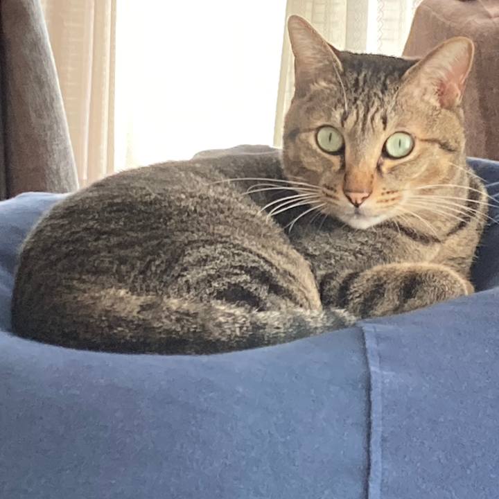 76b81d54 dbae 4827 ad2c d80ea29ad1af 1759791096692