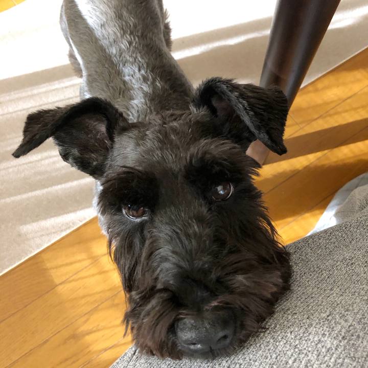 76b81eca 8a6b 4fac ad8a 27c499020560 1609659939771