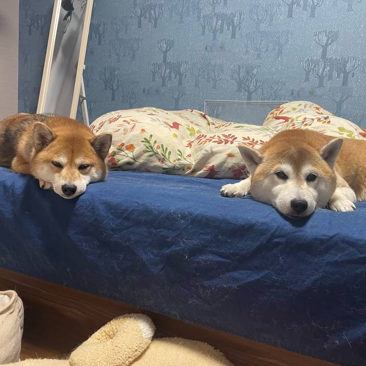 76b84767 4fa2 47ed af3e 44d9b0431b6c 1730899634069