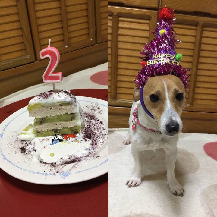 76b84ac6 41f1 4498 99df b4e716899bb0 1512275789465