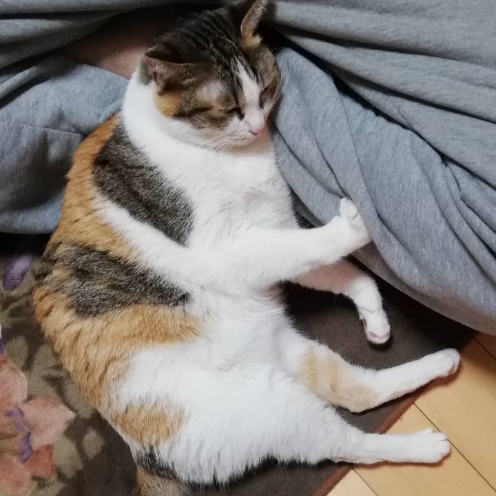 76b85ea9 cbaf 4b5c be9f 49465f5d59f2 1614810902941