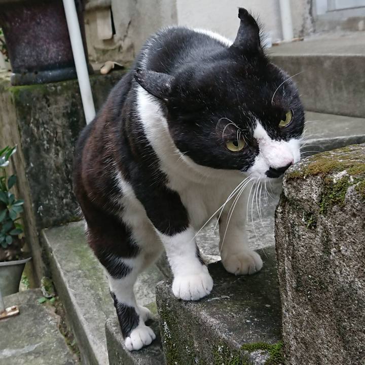 76b890a9 40cc 4655 8061 5317668ef980 1542585086106