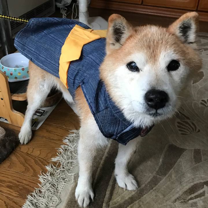 76b89f3e 4887 400f 9f48 b7d31af712c3 1534138063522