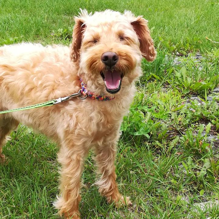 76b8b3bb d50f 4886 91ec 2345400e1e75 1563683636698