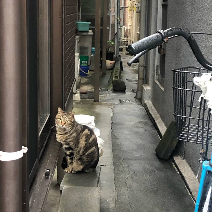 76b8b478 125d 41f9 a363 215832502664 1583821094856