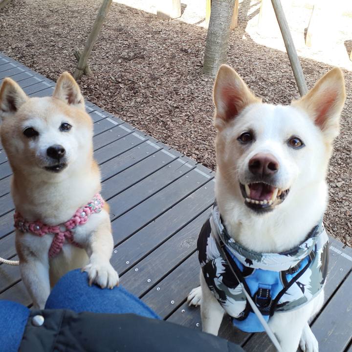 76b8b9f5 f7f9 41d3 832d ffe6fbd77b75 1676177999982