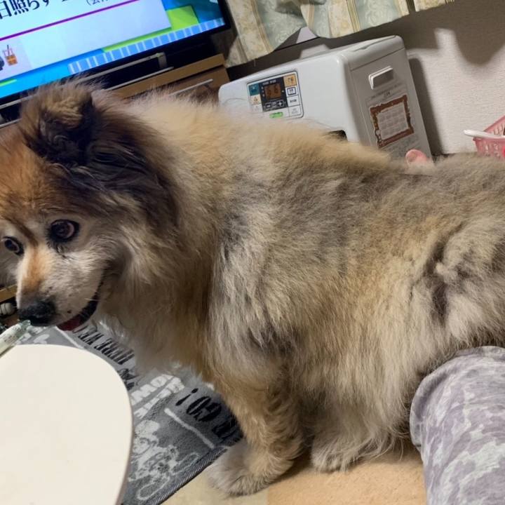 76b8c140 a180 4ec9 bc36 e5659463a82a 1574588964865