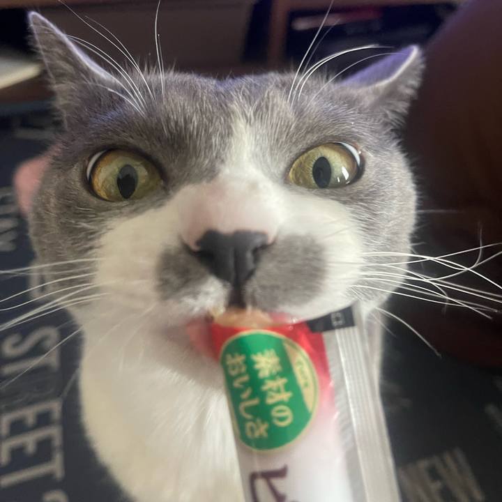 76b8ea9b 2512 40d3 9e18 88ce3556ae37 1710396458160