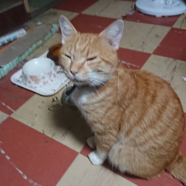 76b8ec36 b639 4904 a03d 238af04a8836 1567108213288