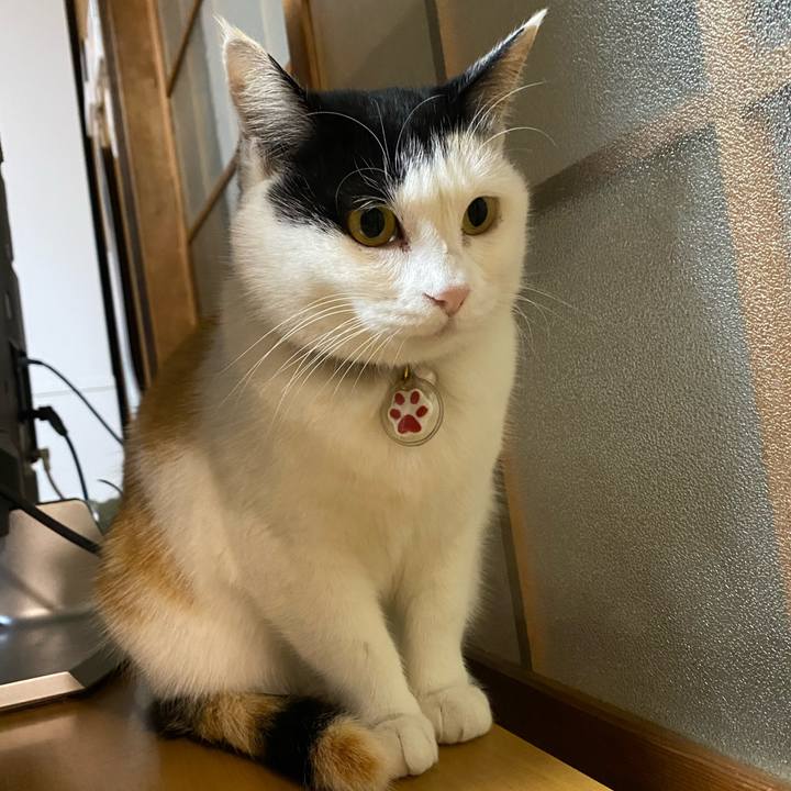 76b8f6c4 853f 4001 8999 466c4992704a 1643837435729