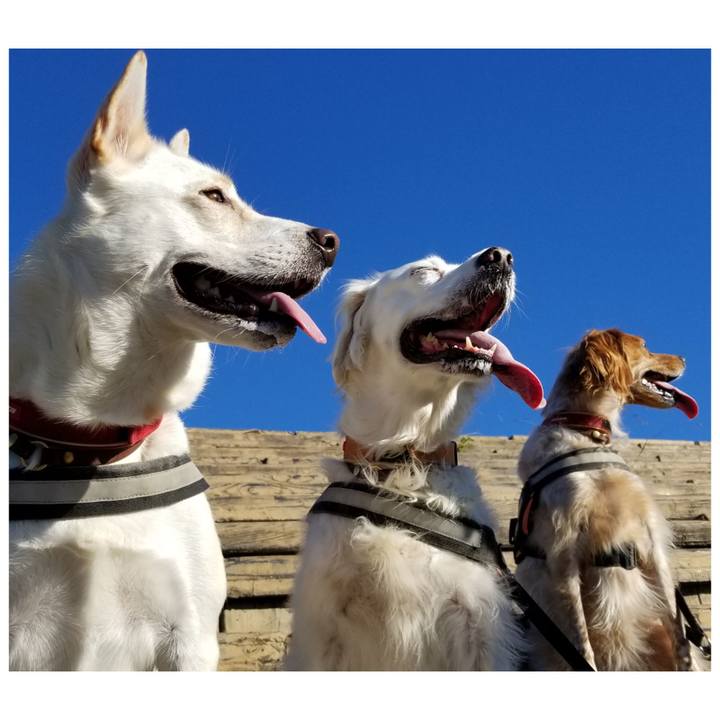 76b92871 62e4 49aa 930f 547e5c507fed 1697941170992