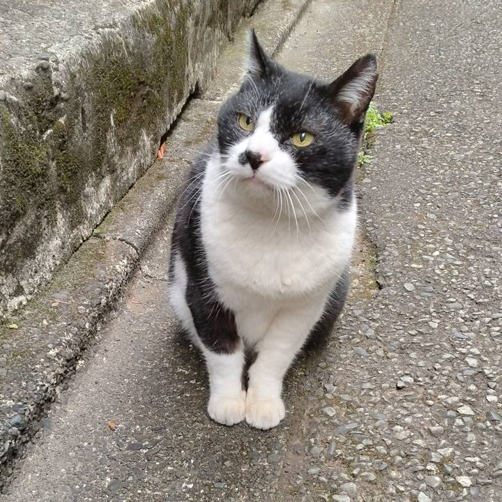 76b928cb f466 4c5a 8e82 07d675d5fd40 1701732184850