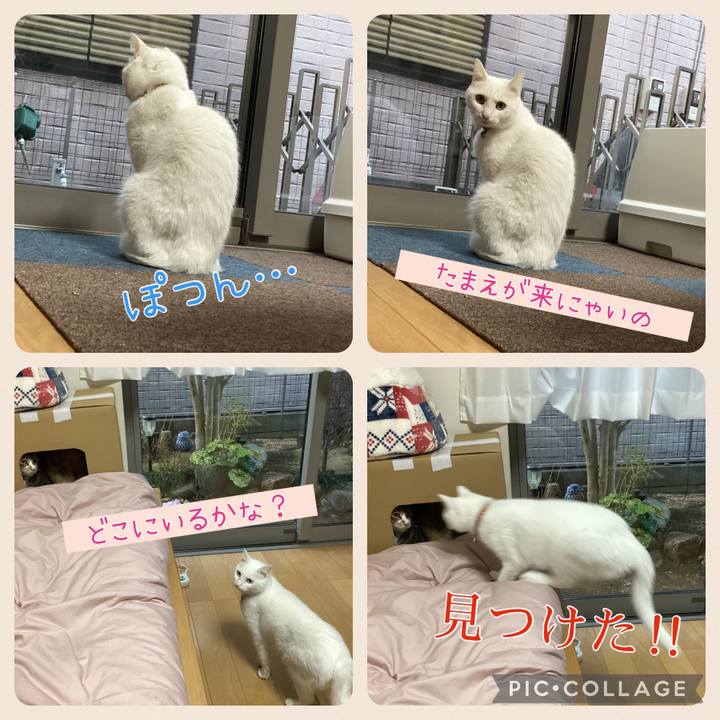 76b94096 57db 49f3 940a 067787d3a4dd 1673477646142