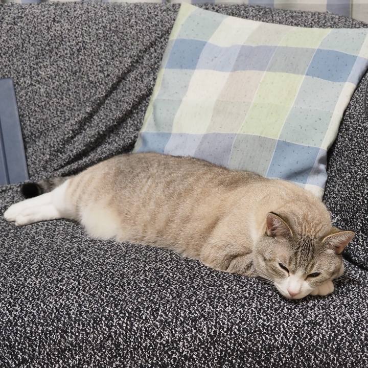 76b97dd5 6a63 4a08 a49a dc721025d83a 1597064908033