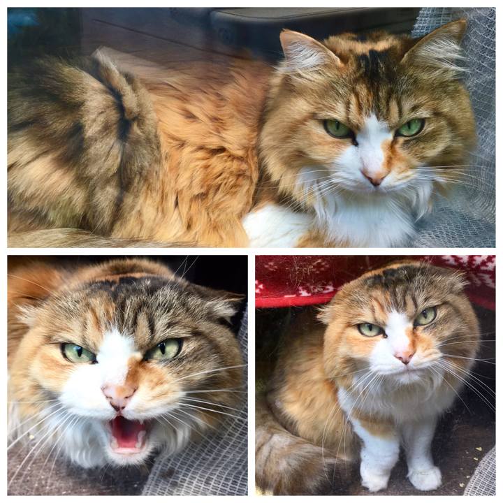 76b988be 6b5a 4df5 9255 36c8ba536b80 1590816147869