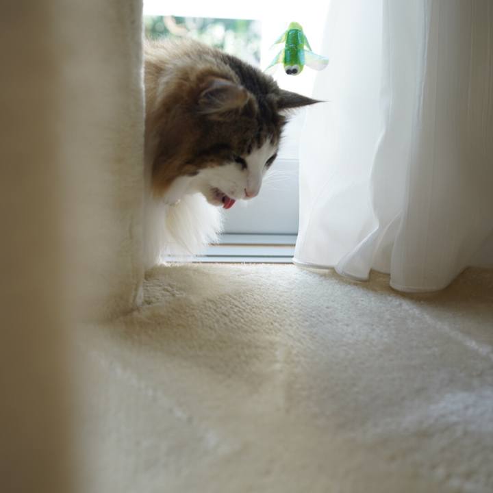 76b9a5df 9504 474e 9cfb bed9c446e892 1618220527121