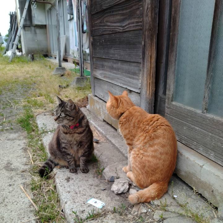 76b9eaf3 21fd 404e 9237 0c02073bd66b 1685091418704