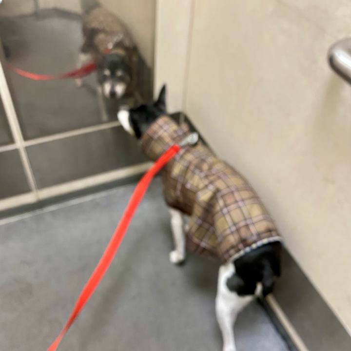 76ba03c1 e603 44bb bd29 0b79a34bf9ea 1611267412860