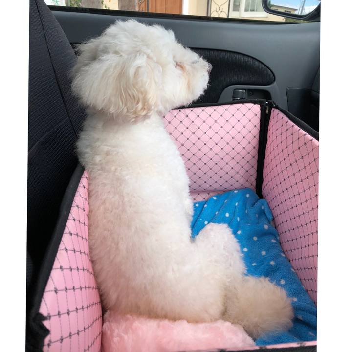 76ba35e4 cb11 4ac9 b457 a81e23f87bb3 1539141914144