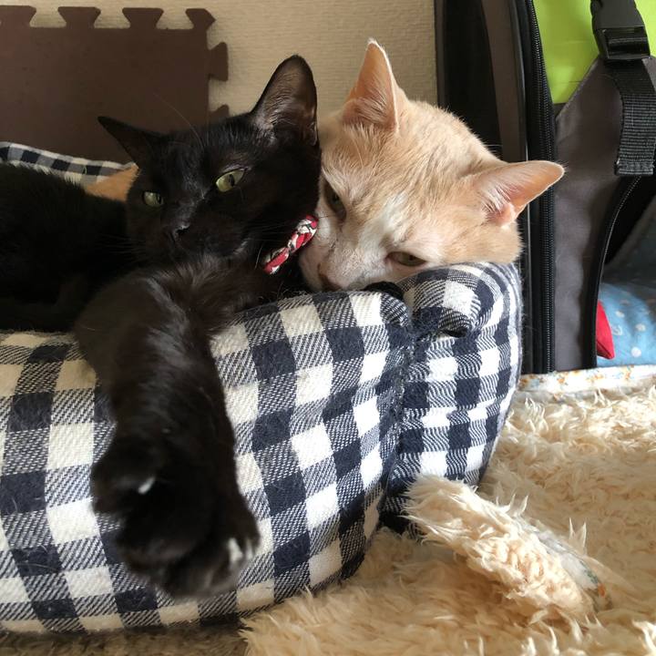 76ba483d 3de6 49bf 95b9 cbbda29b3959 1578888933993