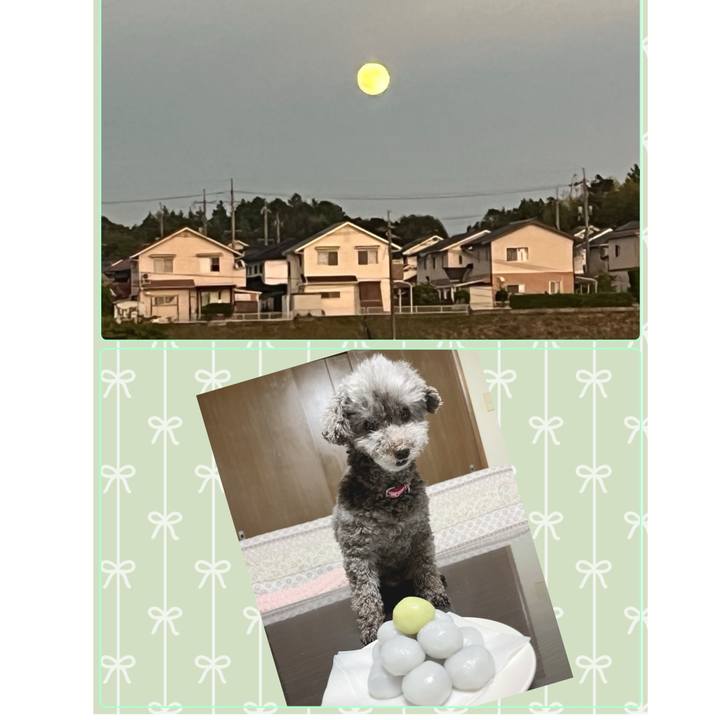 76ba7105 0479 4c63 ac9b 553248bbfddb 1726571499153