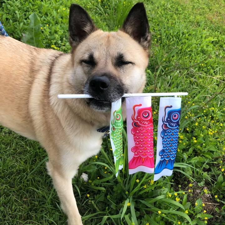 76ba9c1a 600f 4246 b62e cc8e6b13ce70 1557045833127