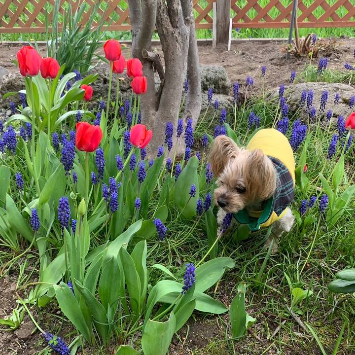 76bade63 00de 4990 9f08 3a4df6d7949f 1683798736683