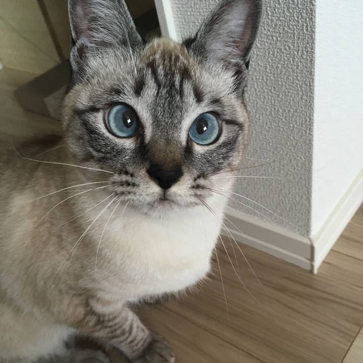 76baf850 c177 4658 87f6 419b7fb1ae14 1555893828981