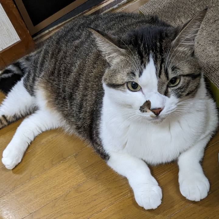 76bb3c4a e3b4 4e8d a17f d4bbd99e2df4 1703770190686