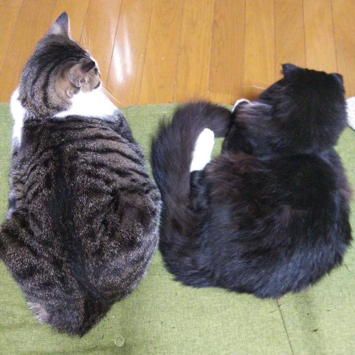 76bb44d2 4035 4886 b5a4 4c15e17942b0 1651220497612