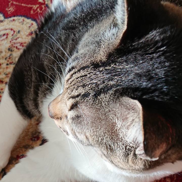 76bb452b 7bbc 4fcd a7c5 813eee6558cf 1549152438984