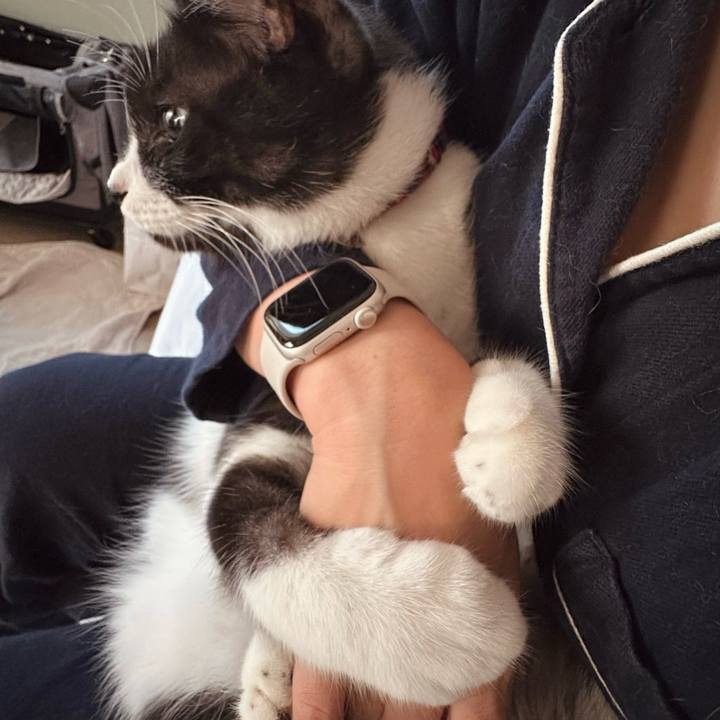 76bb9292 edcd 423d 92de 1f4257fd40a4 1759787243314