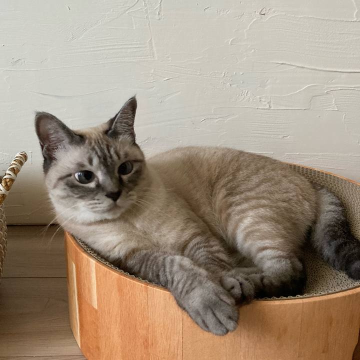 76bbc4e7 4455 41e3 a2a2 f0e92e8e1c1a 1633138143014