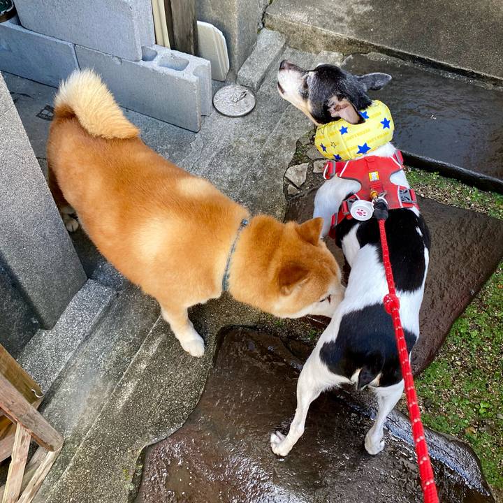 76bbd357 83e5 443a afda b1bfa35493f1 1626481504669