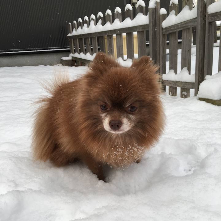 76bbdab7 5a91 4c43 b83e 088b081d9949 1511137786696