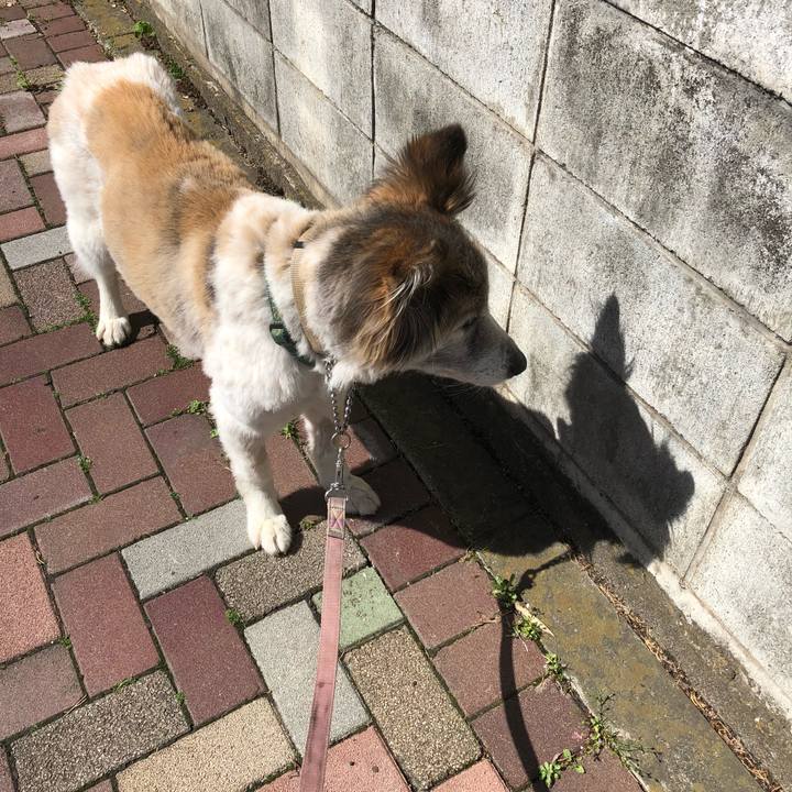 76bbdf71 a3c1 42a8 95f4 5121e67d2abb 1524704770306