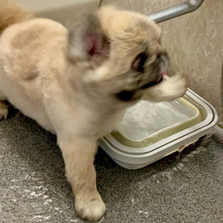 76bbebbc c391 4412 974a 1e7e1a7d0179 1754390158152