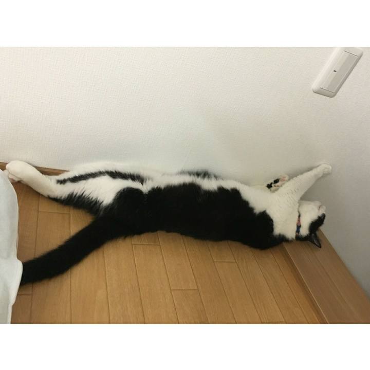 76bc39d3 e999 4283 9a29 15ff9de729d5 1535073836866