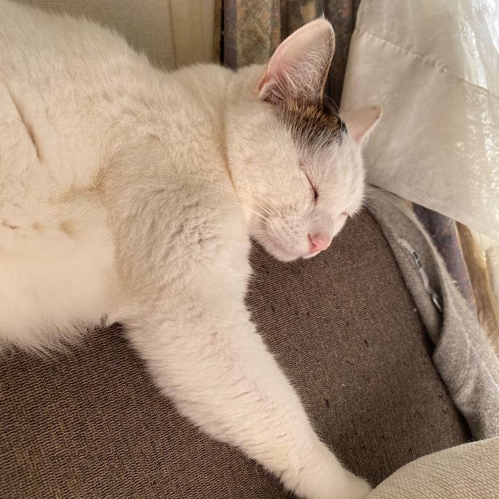 76bc8f7f 581d 4513 8801 5ef7e057b977 1671663257179