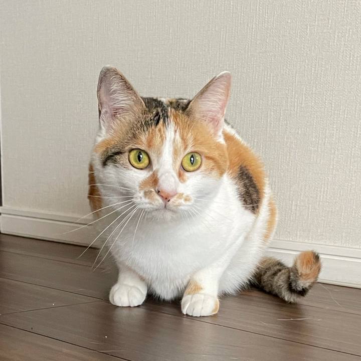 76bcbd50 d8cd 4f40 b8da 13144fabf54d 1621989096454