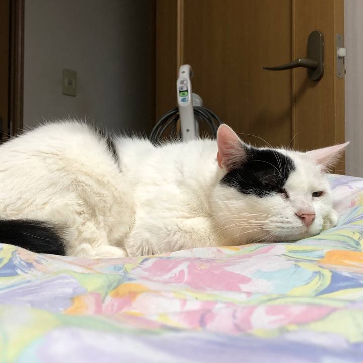 76bcd278 4154 494f ad6e 186c59bce6de 1610024067695